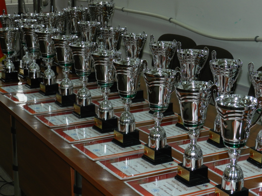 Vezi care au fost cei mai buni sportivi din județul Hunedoara în anul 2014