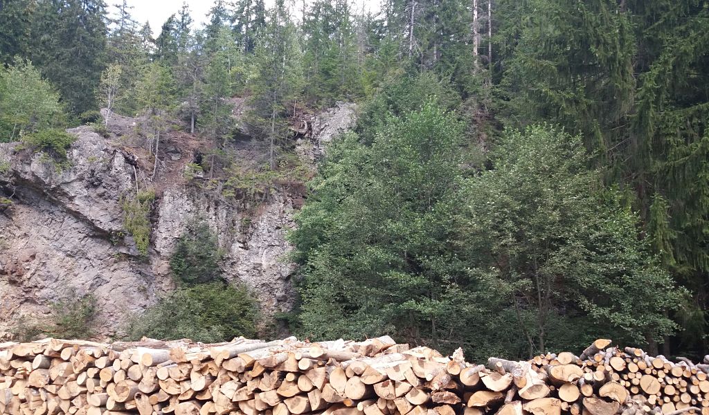 Acțiune de anvergură pentru protejarea fondului forestier în Harghita (VIDEO)