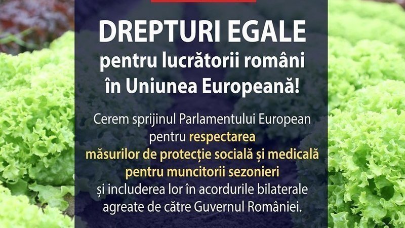 Semnează petiția ”Drepturi egale pentru lucrătorii români în Uniunea Europeană”!