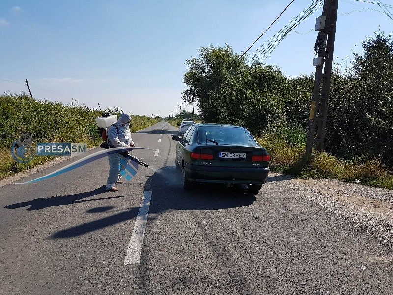 Alarmă cu un virus periculos în județ. Filtre în municipiul Satu Mare