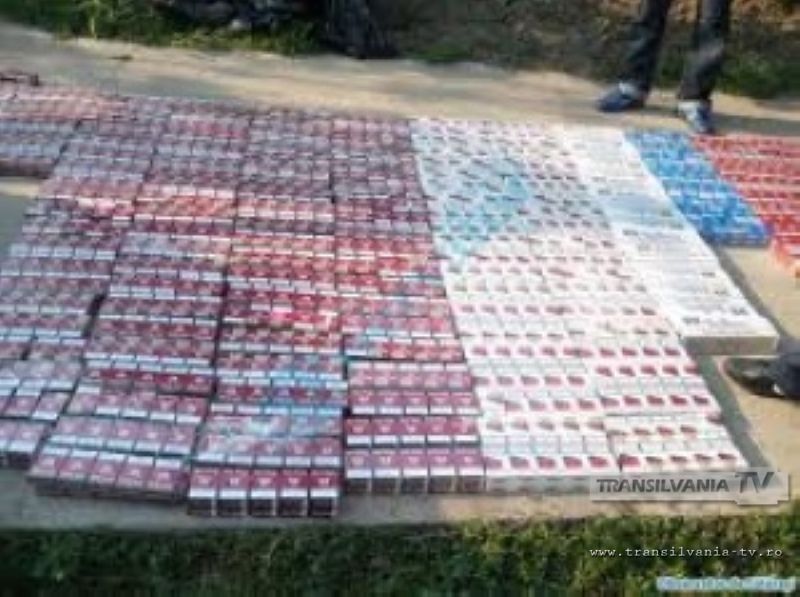 2.500 pachete cu ţigări descoperite de polițiștii de frontieră
