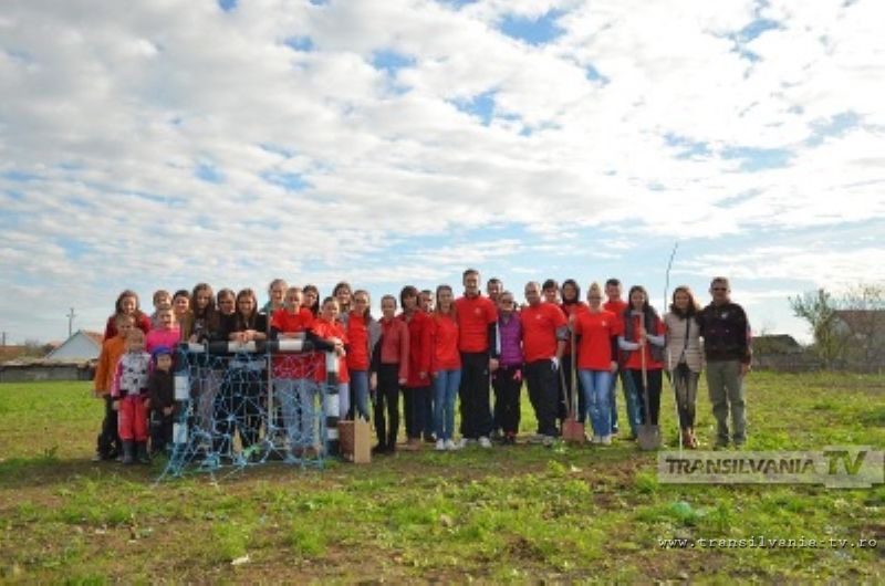 TSD Satu Mare a plantat 50 de copaci în Curtuiuş