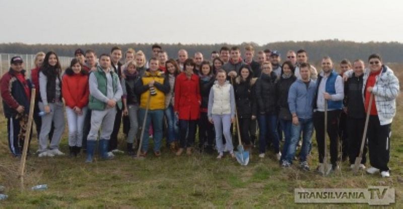 Tinerii social-democraţi au plantat 500 de arbori