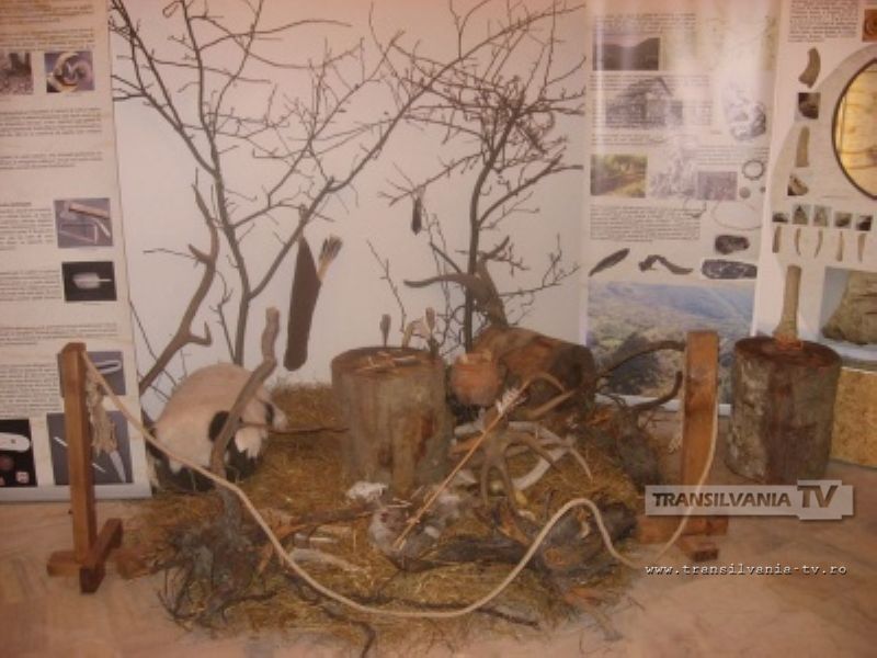 Expoziţie despre arta şi meşteşugul dacilor, la Muzeul Judeţean