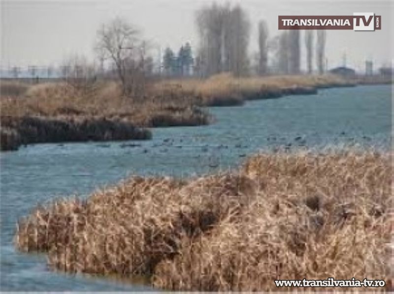 Iubește păsările – Respectă biodiversitatea județului tău