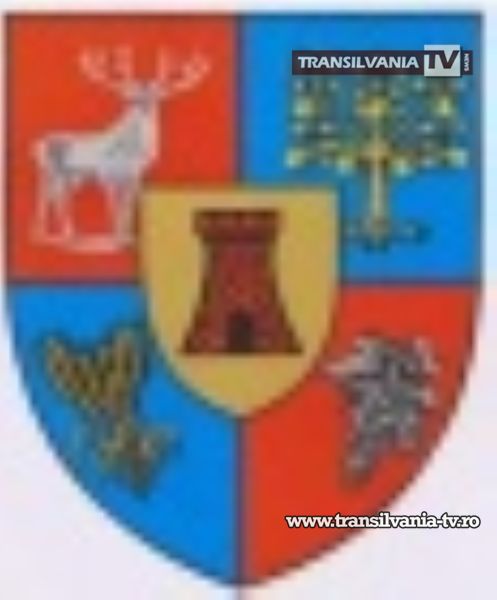 Licitație pentru paza ISU Someș și Centrul Militar Județean