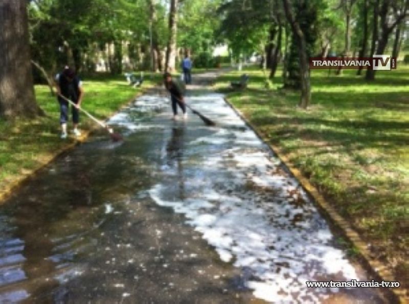 Se vor desfășura activități de igienizare în trei locații