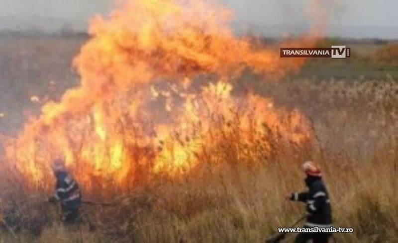 La Huta Certeze au ars trei hectare de vegetație uscată
