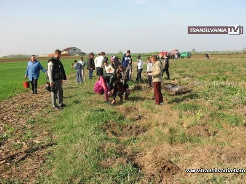 Plantări de puieţi de stejar în fosta groapă de gunoi din Urziceni