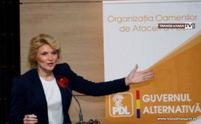PD-L propune crearea de incubatoare de afaceri în universități