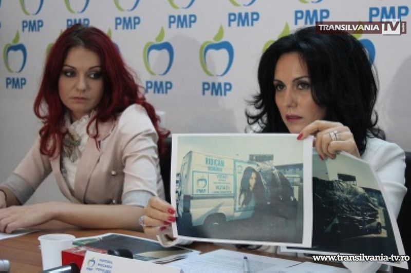 Laura Bota acuză PSD-iştii că i-au vandalizat materialele electorale