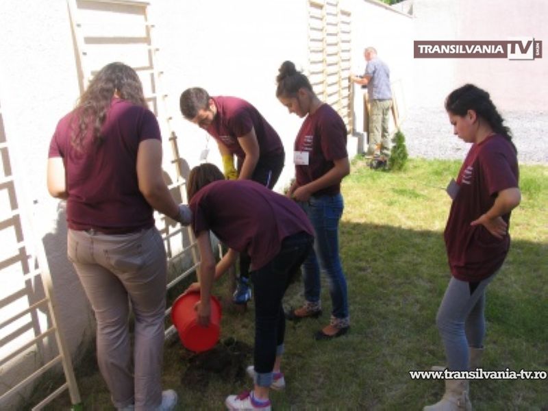 Organizația Caritas a organizat mai multe acțiuni de voluntariat