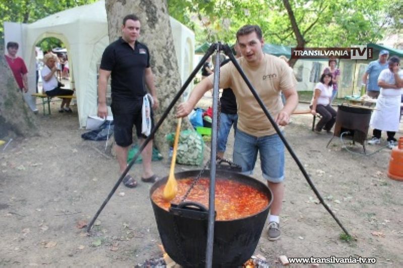 Ample manifestări la Zilele Partium
