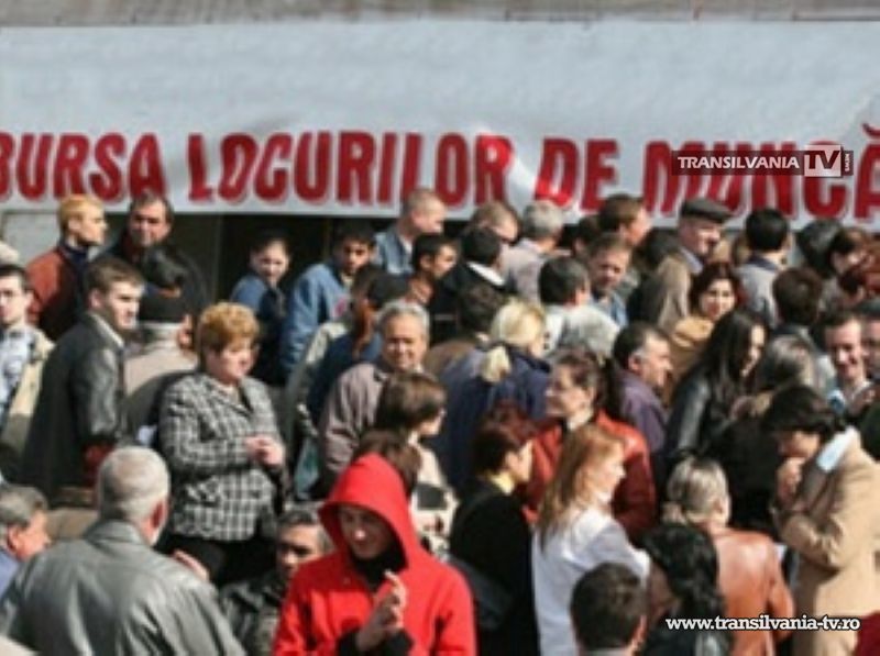 Locuri de muncă pentru absolvenți