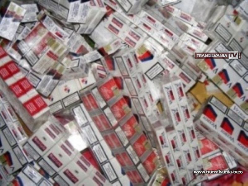 Peste 1.000 pachete țigări de contrabandă confiscate