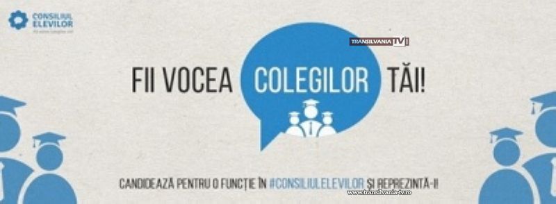 Se fac alegeri în Consiliul Elevilor