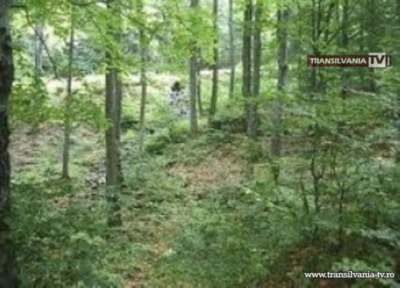 Competiție sportiv-turistică „Prietenii Naturii” în Grădina Romei