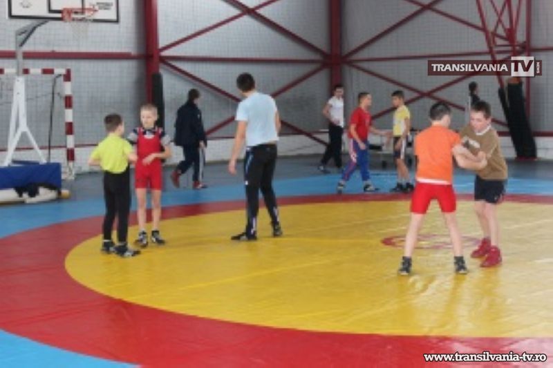 Luptătorii sătmăreni s-au calificat la finala Campionatului Național