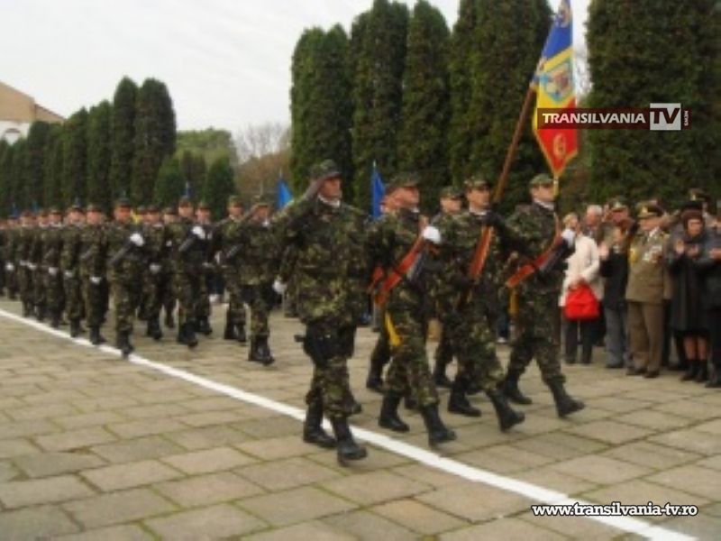 Manifestări dedicate Zilei Armatei României la Carei și Satu Mare
