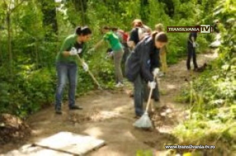 Asociația Stea caută voluntari pentru activităţi de grădinărit