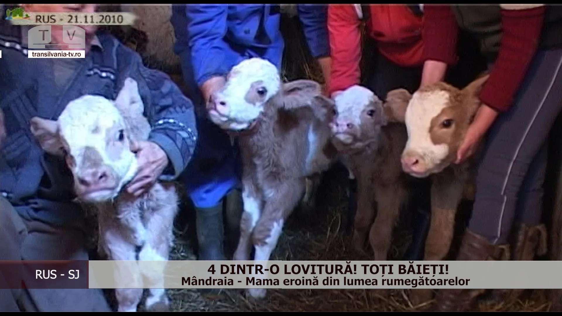 4 dintr-o lovitură! Toți băieți! (VIDEO)