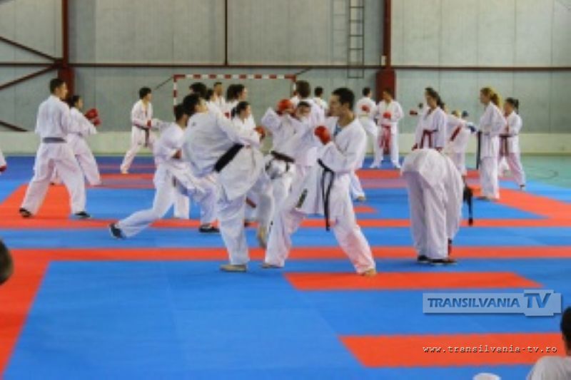 Karateka de la CSM Satu Mare participă la Cupa României