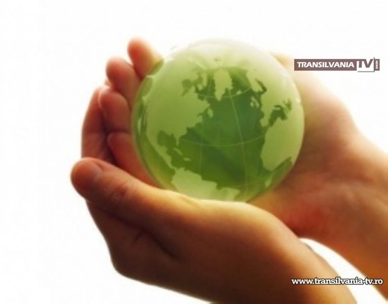Programe de educație ecologică pentru elevi și preșcolari