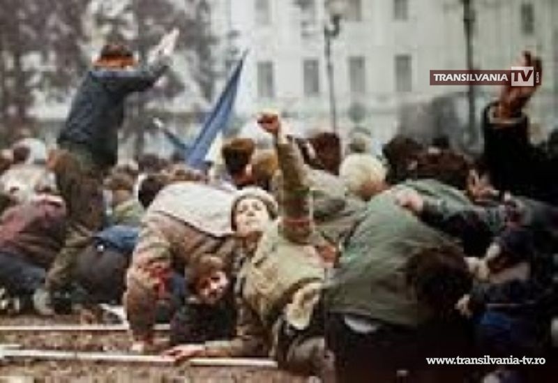 Expoziție dedicată Revoluției din 1989 la Muzeul Municipal Carei
