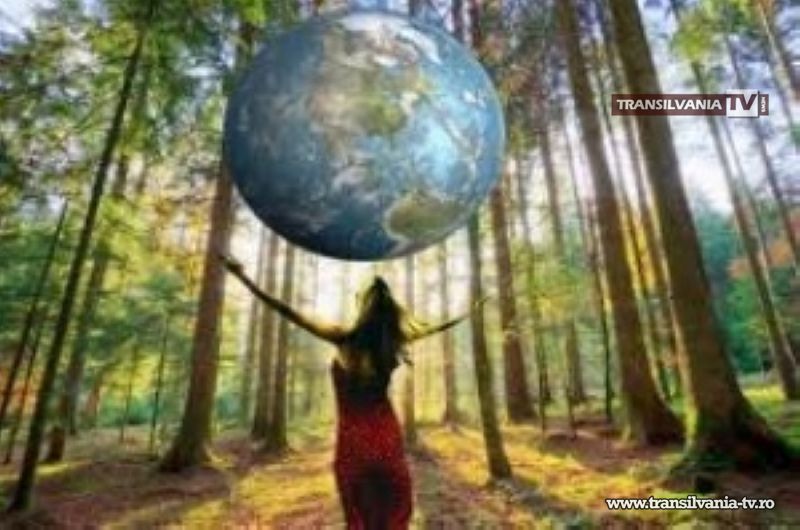 Număr mare de elevi înscriși în programele de educație ecologică