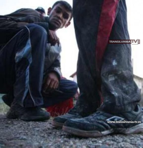 Un irakian si un palestinian prinși la granița cu Ungaria