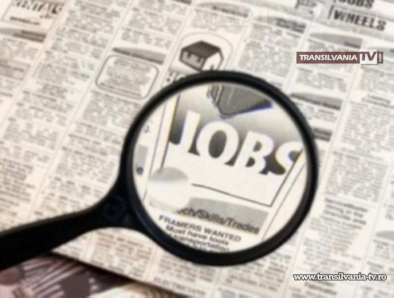 AJOFM organizează noi cursuri de calificare în luna februarie