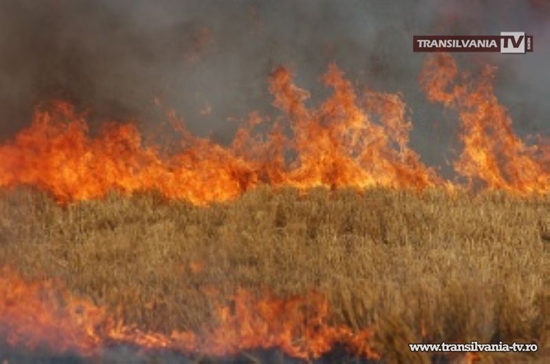 Arderea miriștilor este interzisă