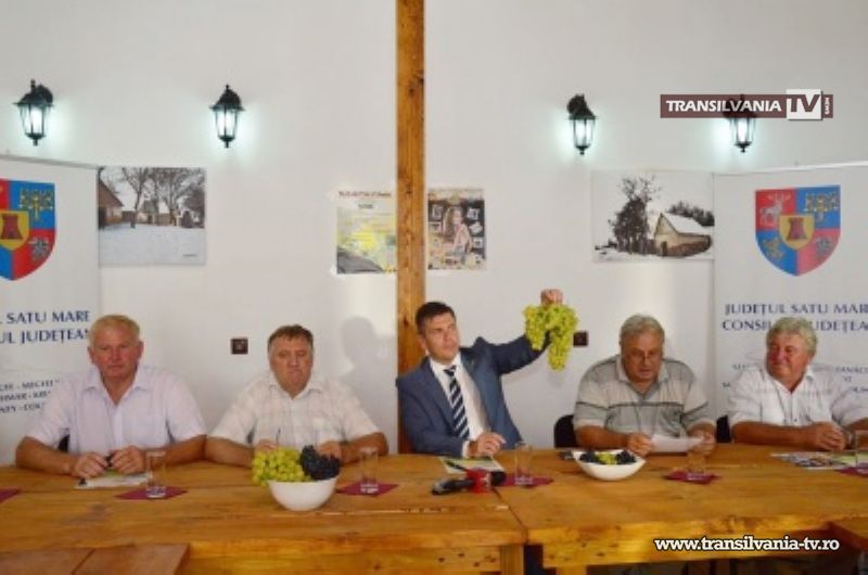 Vinurile sătmărene se vor vinde sub indicaţia „Dealurile Sătmarului”