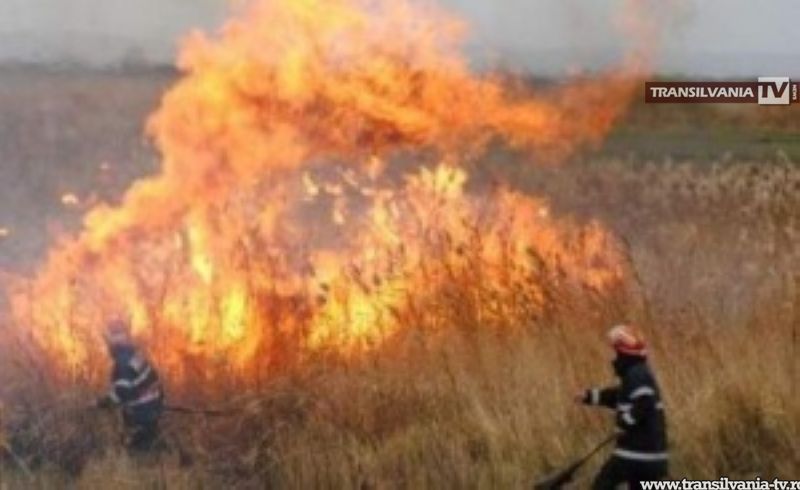 Incendiu de vegetație uscată la Negrești-Oaș