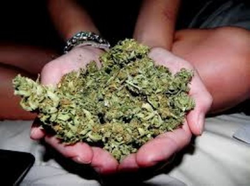 Cetățeni străini prinși cu 500 grame de cannabis la Satu Mare