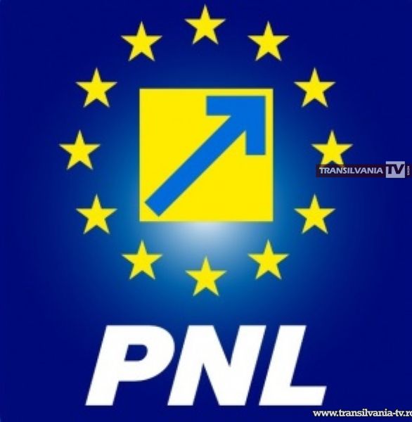 Noul Comitet Local Executiv al PNL Satu Mare