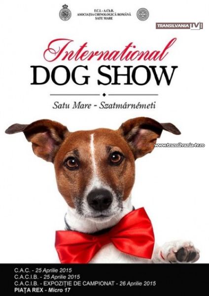 Sătmărenii sunt așteptați în week-end la International Dog Show