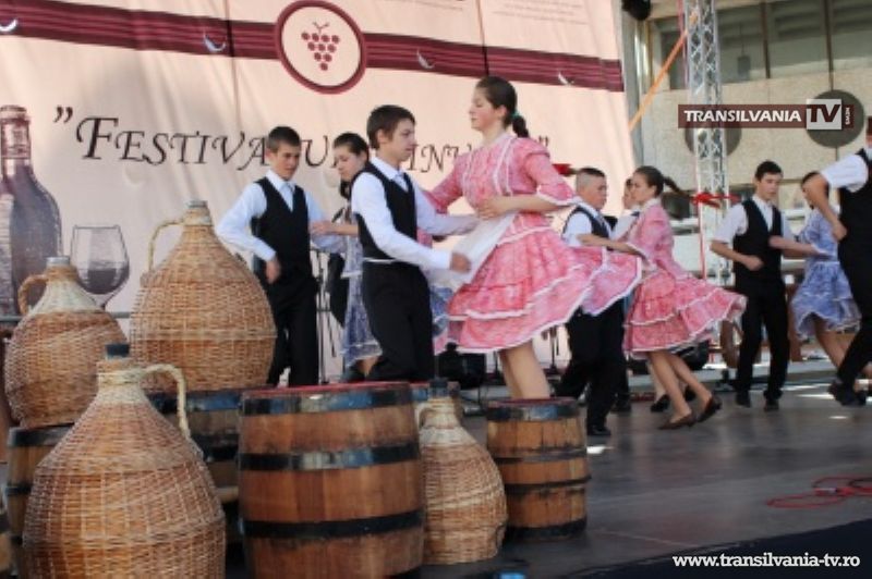 Vinurile din Beltiug, campioane la Festivalul Vinului Sătmărean