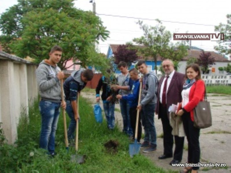 Activități de voluntariat la Colegiul Tehnic „Unio-Traian Vuia”