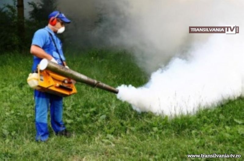 Primăria va efectua lucrări de dezinsecție contra țânțarilor