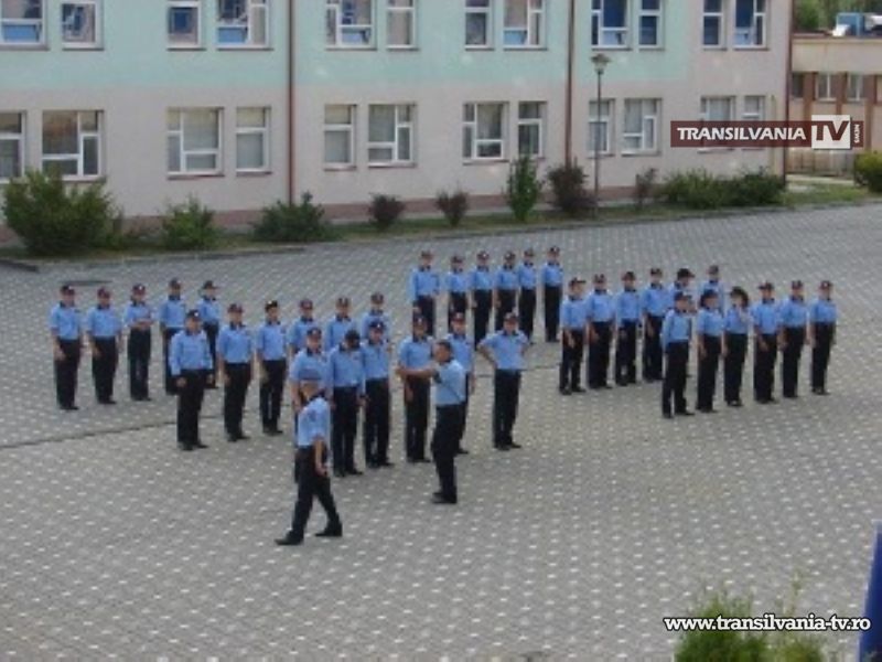 Misiune posibilă pentru viitorii polițiști din Carei