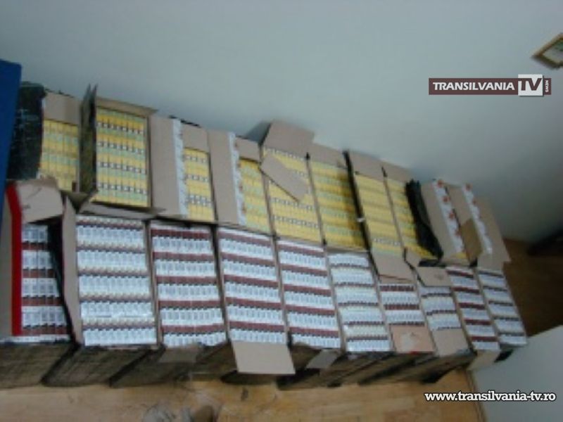 Aproape 7.500 pachete de țigări au fost descoperite la Moișeni