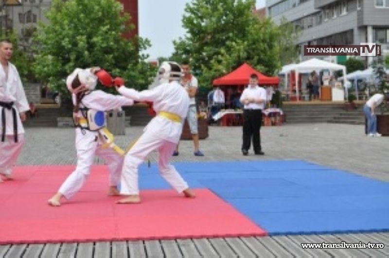 Programul demonstrațiilor sportive cu ocazia Zilelor Județului