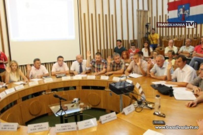 Undă verde pentru construirea fast-food-ului Quick la Burdea