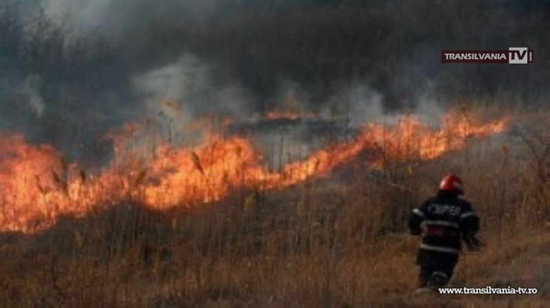 Incendiu de vegetație uscată la Vetiș