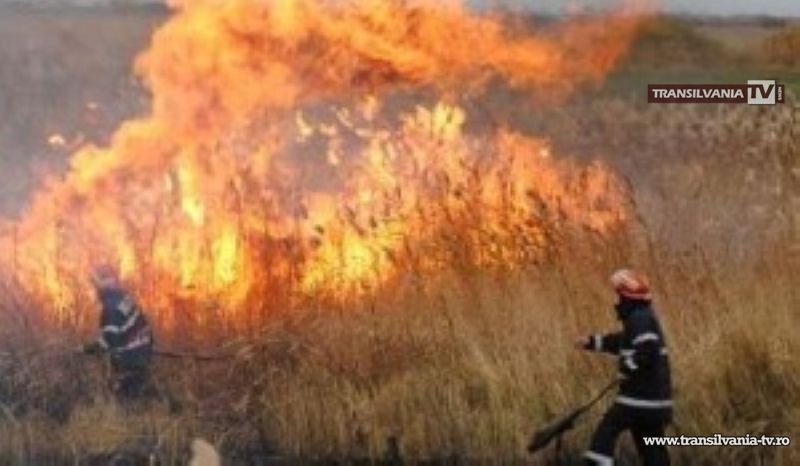 Zece hectare de vegetaţie uscată distruse în incendii