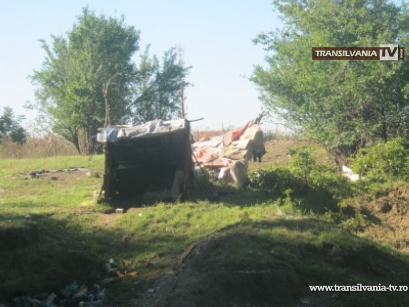 Poliţiştii locali au curăţat digurile Someşului de boschetari