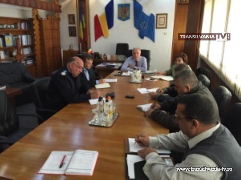 Transport ilegal de porci din Ungaria în judeţul Satu Mare