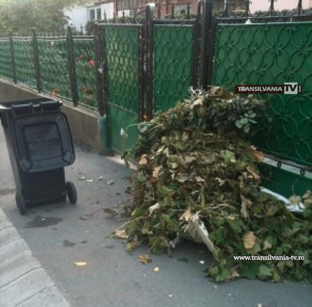 Curățenie de toamnă la Satu Mare