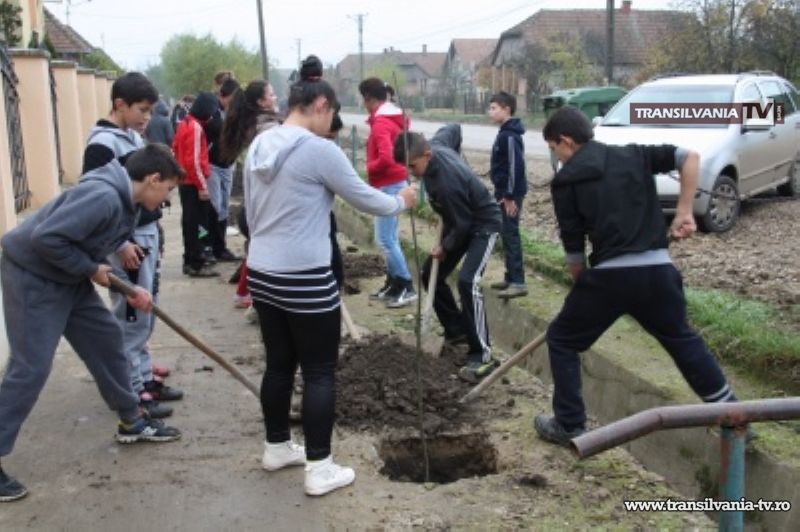 S-au plantat 50 de puieți de tei în jurul Școlii Gimnaziale din Oar
